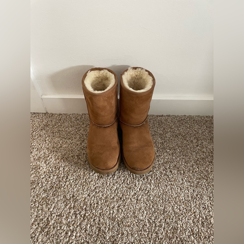 Ugg Women’s Classic Short II in Chestnut